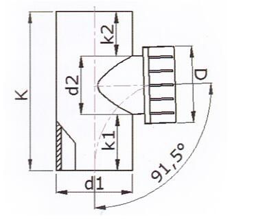 檢查口1.jpg
